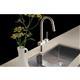 1 Hole Faucet with Pull-down Spray NK